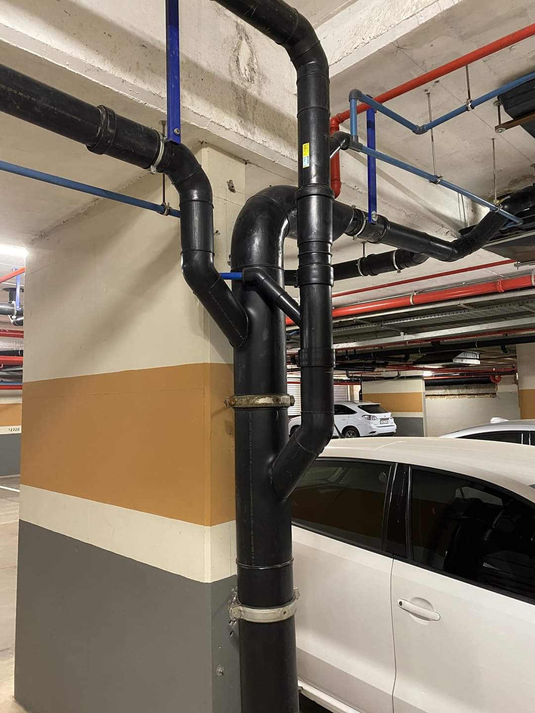 FB_IMG_1610686195864