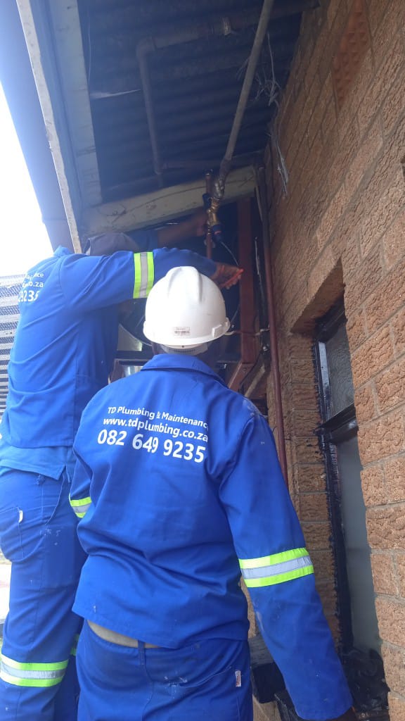 WhatsApp Image 2023-01-31 at 12.13.20